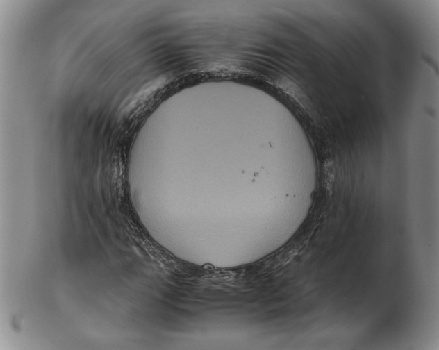 X0000102341111200808221625