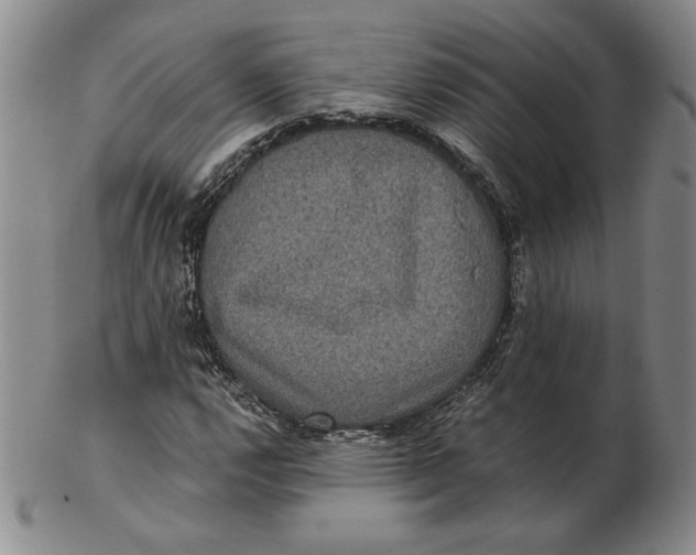 X0000102341112200808221625