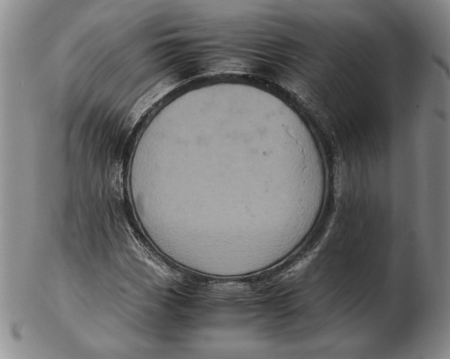 X0000102341113200808221625