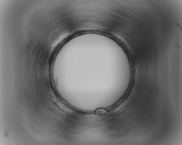 X0000102341114200808221625