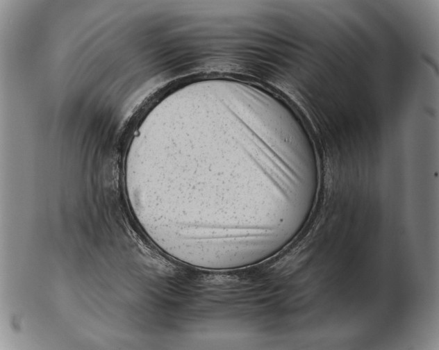 X0000102341115200808221625