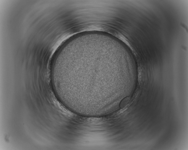 X0000102341116200808221625