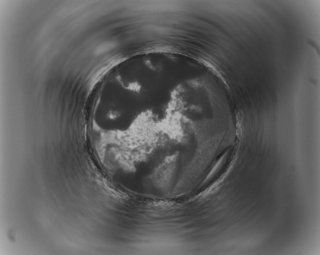 X0000102341117200808221625