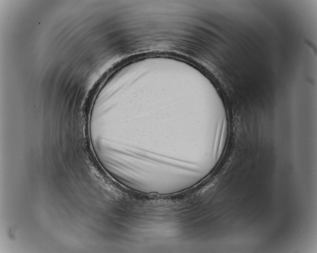 X0000102341118200808221625