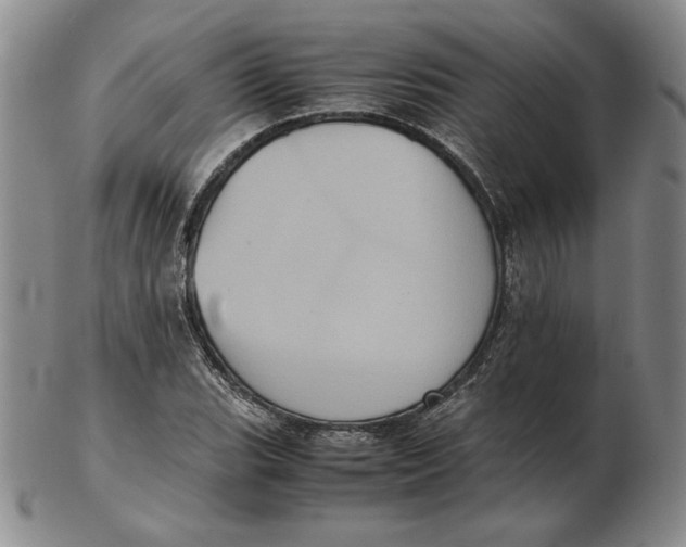 X0000102341119200808221625