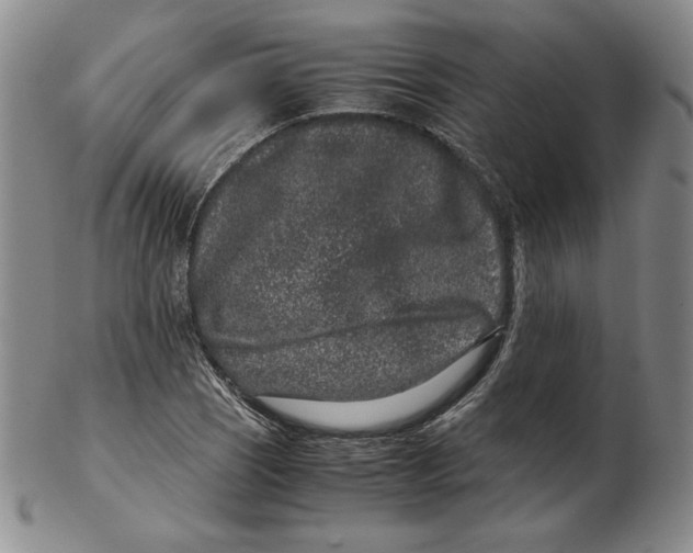 X0000102341121200808221625