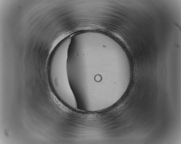 X0000102341122200808221625