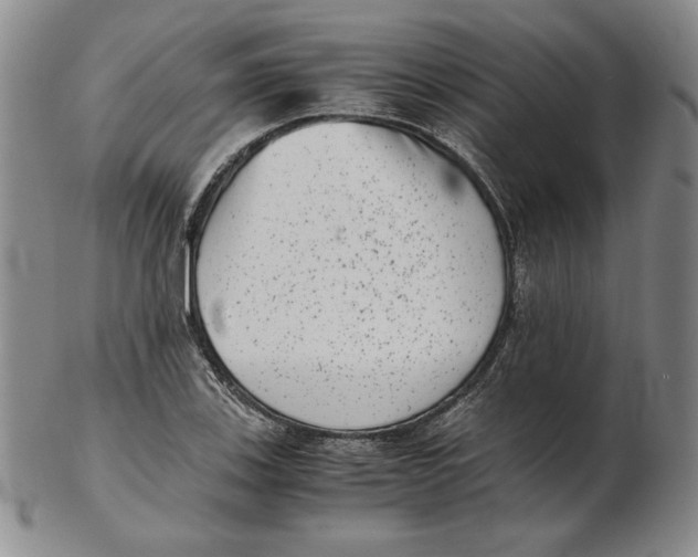 X0000102341123200808221625