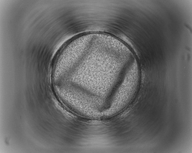 X0000102341124200808221625