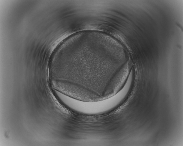 X0000102341125200808221625