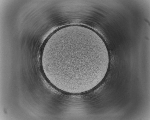 X0000102341126200808221625