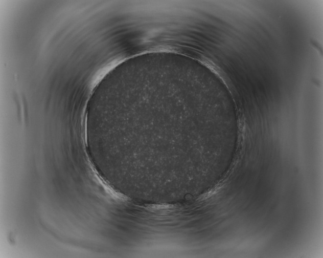 X0000102341127200808221625