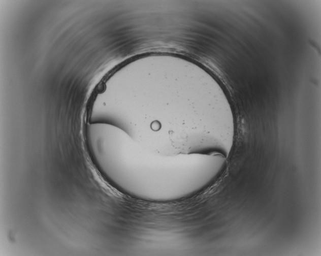 X0000102341128200808221625