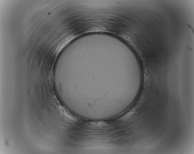 X0000102341129200808221625