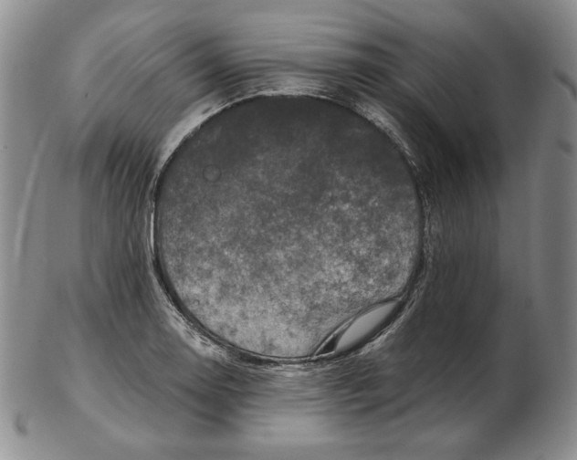 X0000102341130200808221625