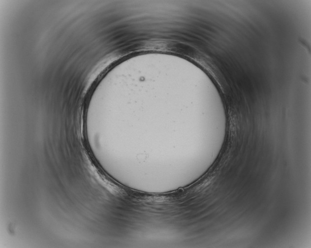 X0000102341131200808221625