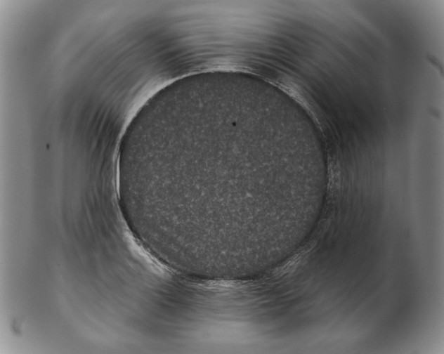 X0000102341132200808221625