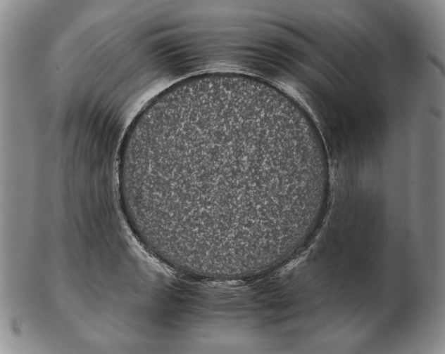 X0000102341133200808221625