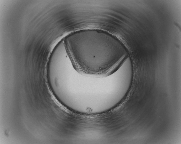 X0000102341134200808221625