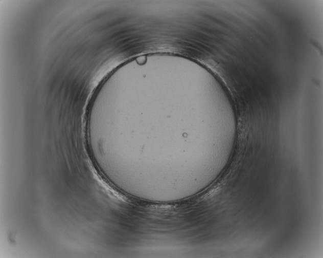 X0000102341135200808221625