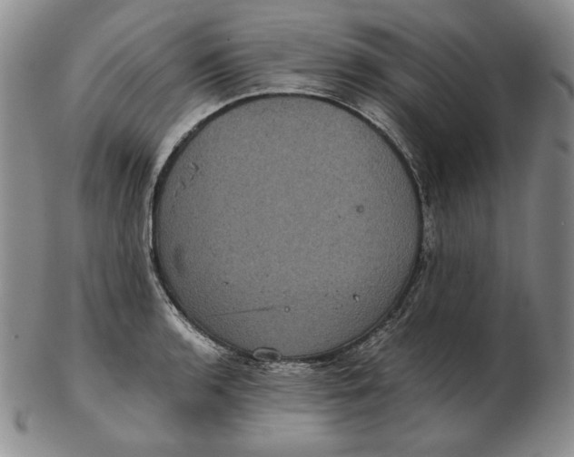 X0000102341136200808221625