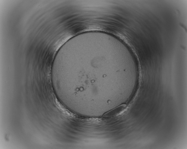 X0000102341137200808221625