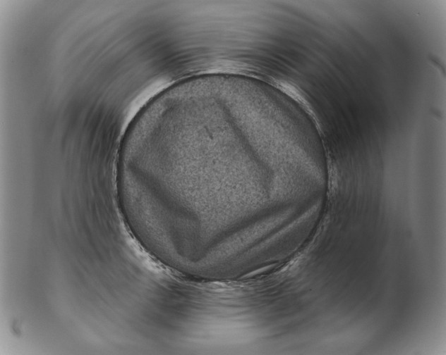 X0000102341138200808221625