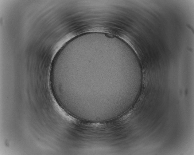 X0000102341139200808221625