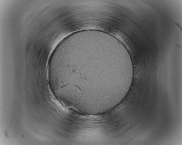 X0000102341140200808221625