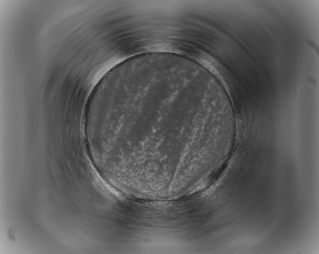 X0000102341141200808221625