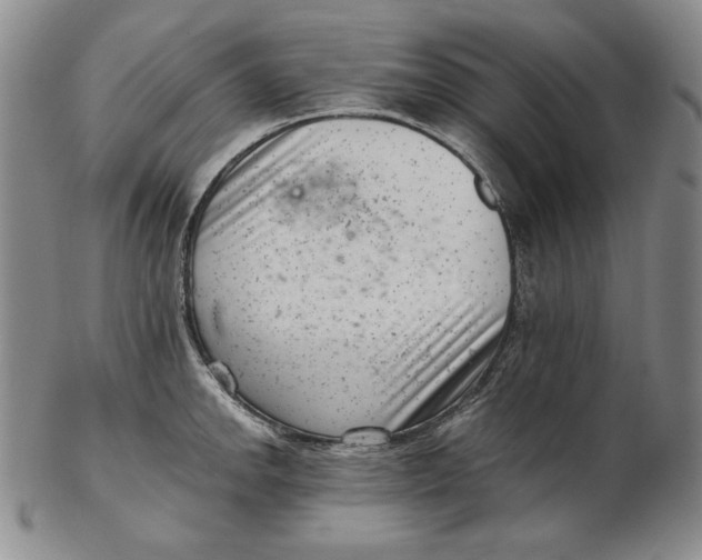 X0000102341142200808221625