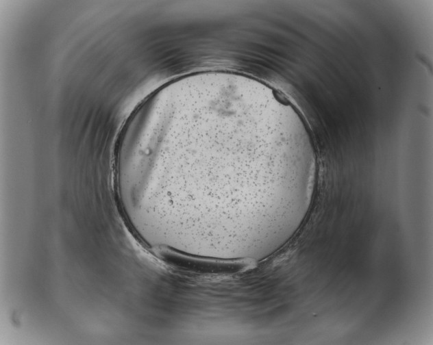 X0000102341143200808221625