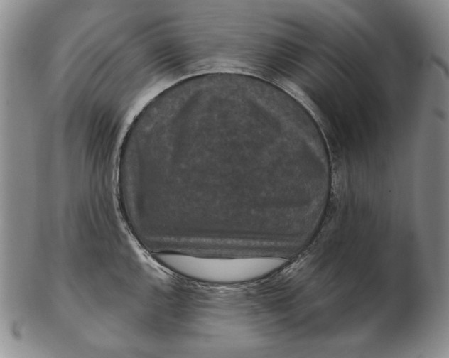 X0000102341144200808221625