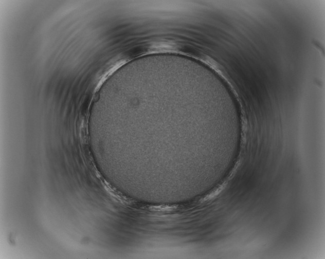 X0000102341145200808221625