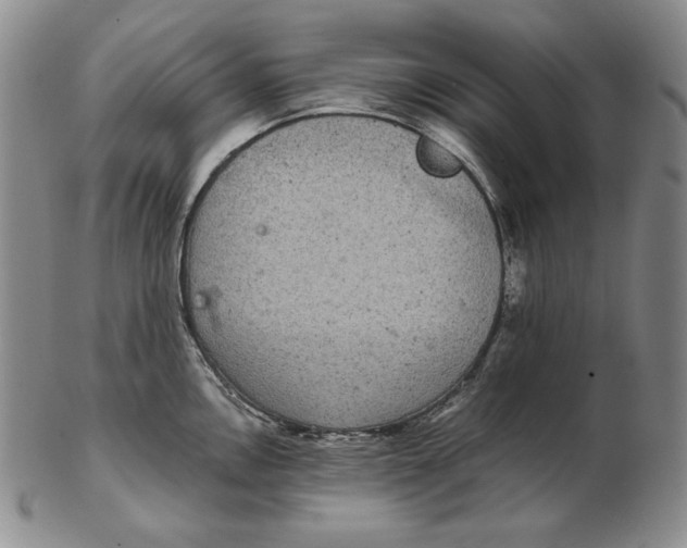 X0000102341146200808221625