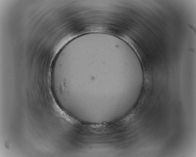 X0000102341147200808221625