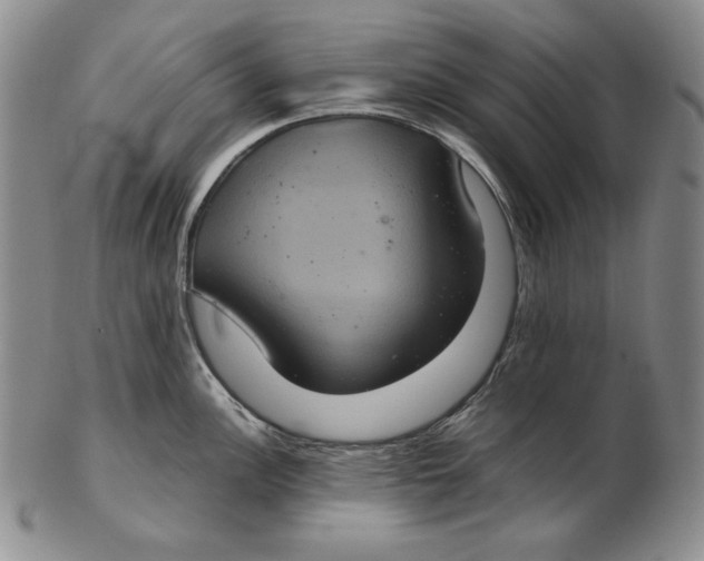 X0000102341148200808221625