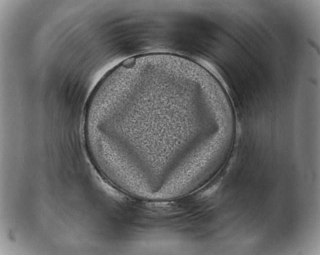 X0000102341149200808221625