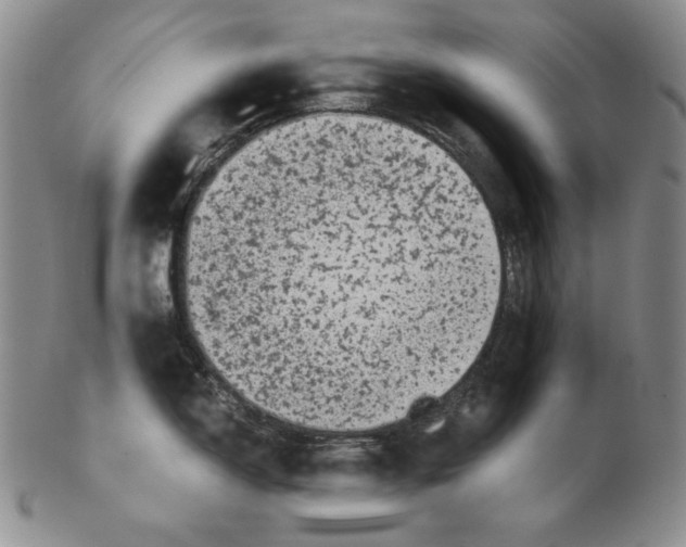 X0000102341150200808221625