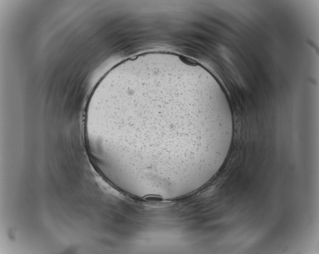 X0000102341151200808221625