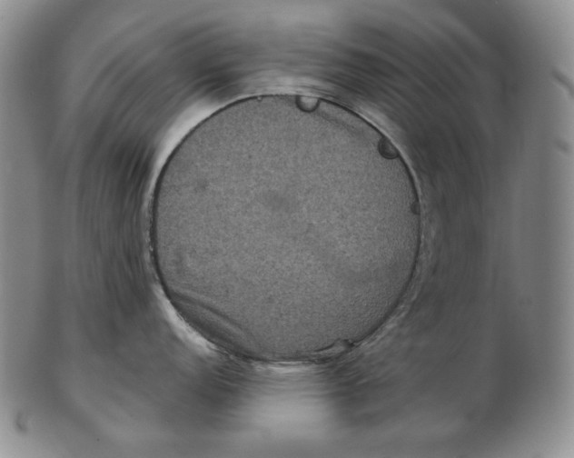 X0000102341152200808221625