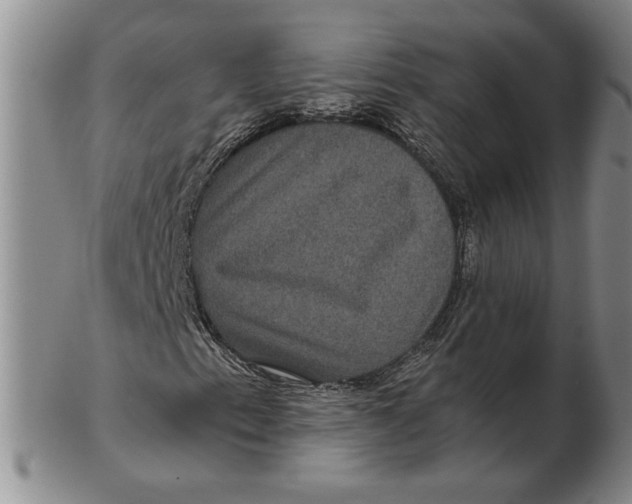 X0000102341153200808221624