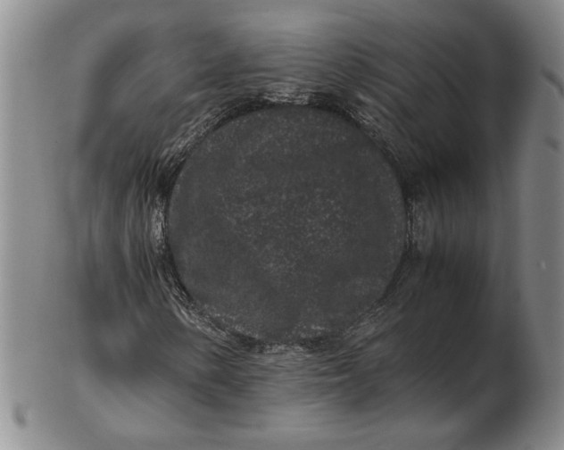 X0000102341154200808221624