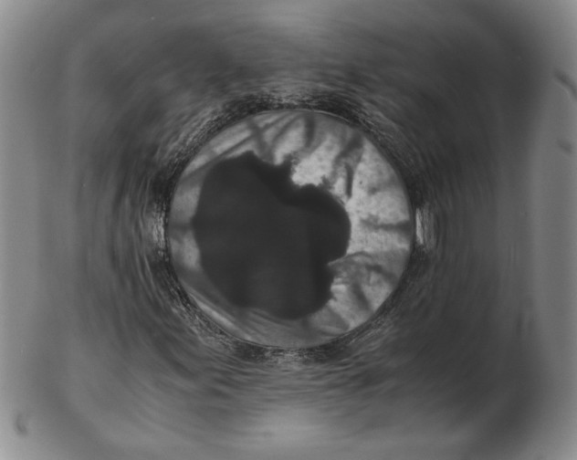 X0000102341155200808221624