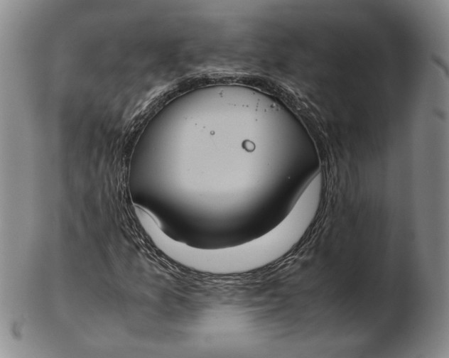 X0000102341157200808221624