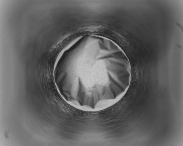 X0000102341158200808221624