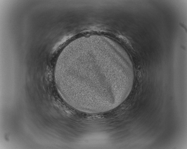 X0000102341159200808221624