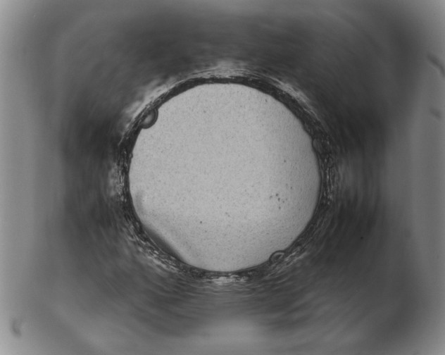 X0000102341160200808221624