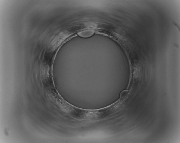 X0000102341161200808221624