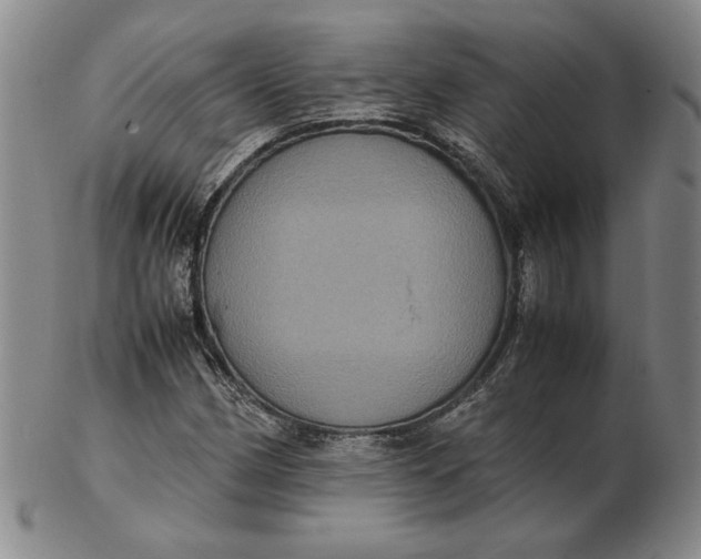 X0000102341162200808221624